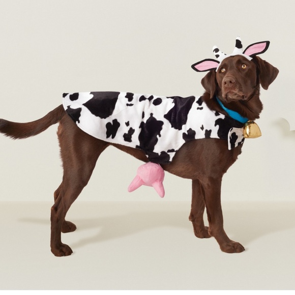 Cow Dog or Cat Costume Hyde and Eek! Boutique XS - Picture 2 of 4